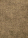 Sun-Bleached Visual T-Shirt with Stellar