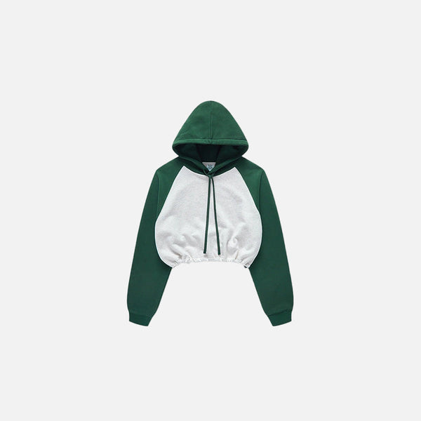 Women's Brick Colorblock Cropped Sweatshirt alternatif görünüm