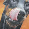 Print Doberman Hound Imprinted Drop-Shoulder T-Shirt