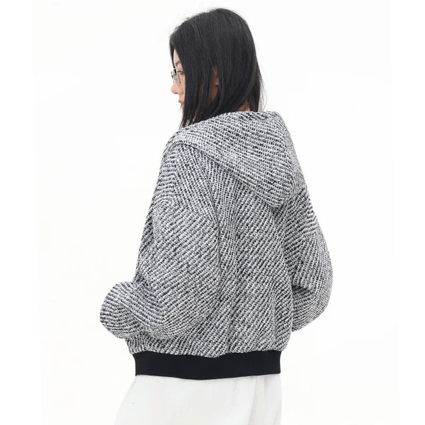 Silver Era Zip Up Hoodie alternatif görünüm