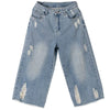 High-Rise Torn Wide Leg Denim Shorts