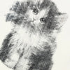 Relaxed Pawed Visual T-Shirt