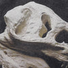 Neon Dino Bone-Face T-Shirt