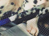 Insulated Dalmatian Visual Mesh Jersey T-Shirt