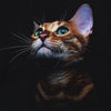Stargazing Pawed Artwork Print T-Shirt